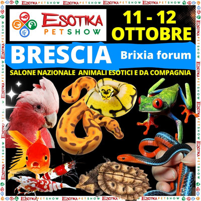 ESOTIKA BRESCIA BRIXIA FORUM SALTAFILA