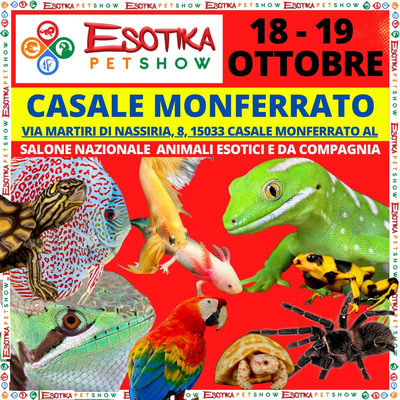 ESOTIKA CASALE SALTAFILA