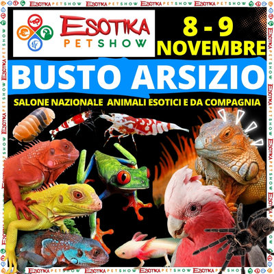 ESOTIKA BUSTO SALTAFILA NOVEMBRE