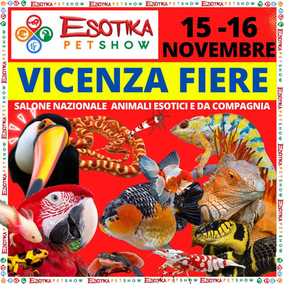 ESOTIKA VICENZA SALTAFILA