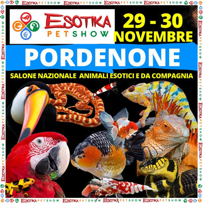ESOTIKA PORDENONE SALTAFILA