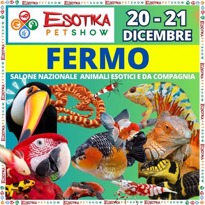 ESOTIKA FERMO SALTAFILA