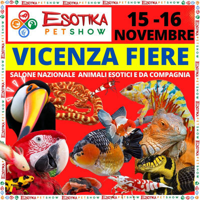 ESOTIKA VICENZA SALTAFILA PLANET