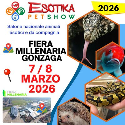 ESOTIKA GONZAGA 2026 SALTAFILA 7 - 8  MARZO