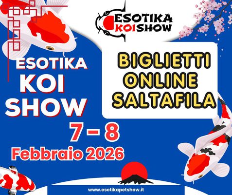 ESOTIKA KOI SHOW AREZZO 2026 SALTAFILA