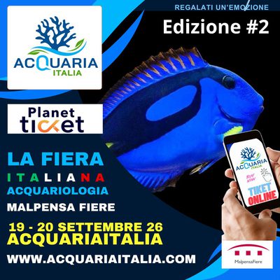 ACQUARIA ITALIA SALTAFILA 2026 19 -20 SETTEMBRE