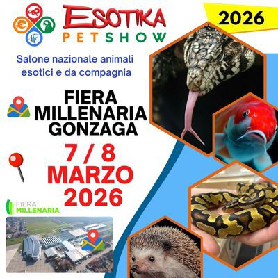 ESOTIKA GONZAGA 2026 7&8 MARZO