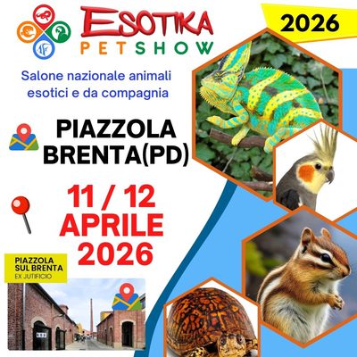 ESOTIKA PIAZZOLA BRENT 2026 SALTAFILA 11-12 APRILE