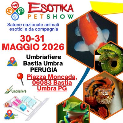 ESOTIKA PERUGIA SALTAFILA 30 E 31 MAGGIO 2026