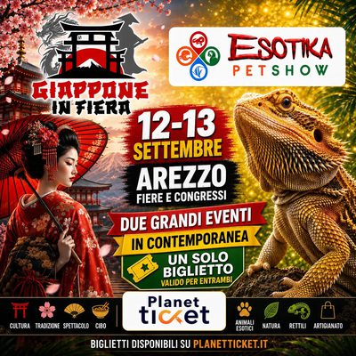 ESOTIKA AREZZO + GIAPPONE SALTAFILA T