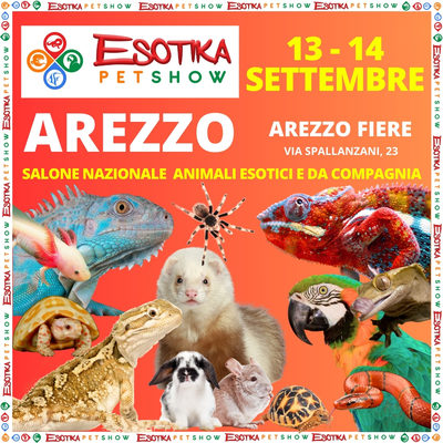 ESOTIKA AREZZO SETTTEMBRE SALTAFILA