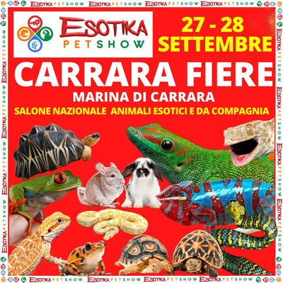 ESOTIKA CARRARA SALTAFILA